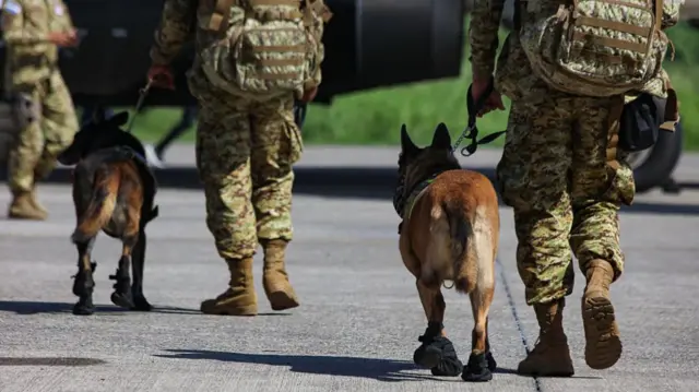 Soldiers walking dogs, wearing black booties, on a tarmac