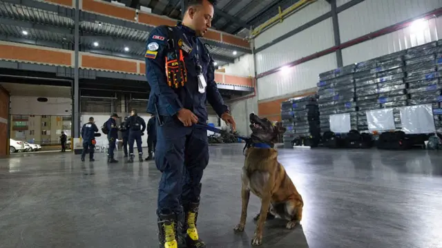 A firefighter stands beside a dog inside an airplane hangar