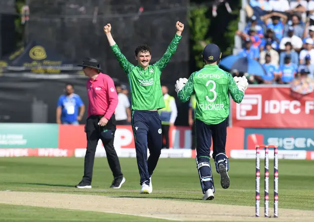 Ireland celebrates wicket