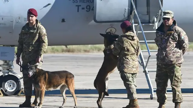 Three people in military uniforms stand next to a plane with two dogs, one of them is jumping up.