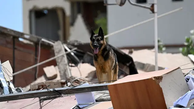 A Spanish rescue dog searches for possible victims on the rubble of a collapsed building in Catia La Mar, La Guaira state, Venezuela, on June 28, 2026