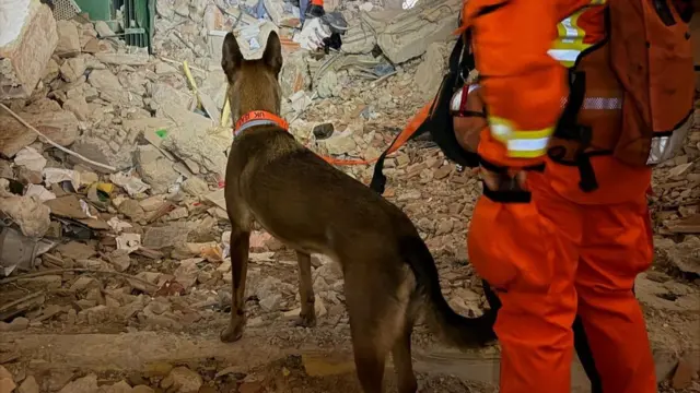 UK ISAR specialists searching through rubble with a search dog following Venezuelan earthquakes