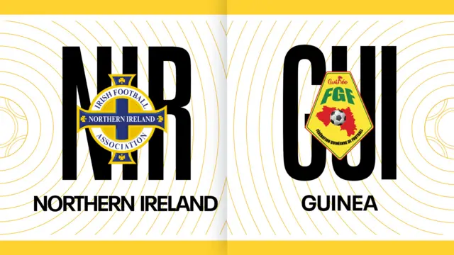 Northern Ireland v Guinea