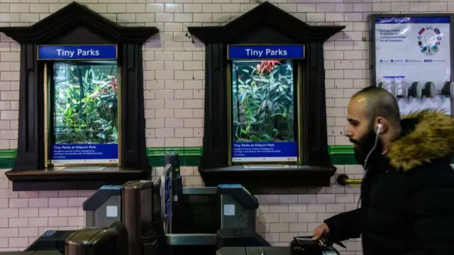 A man wearing a winter coat with a faux-fur hood and earphones walks past ticket barriers inside a London Underground station. In the background, two historical wooden ticket booth windows set into a tiled wall have been converted into illuminated terrariums filled with green plants. Signage above and inside the displays reads "Tiny Parks at Kilburn Park".