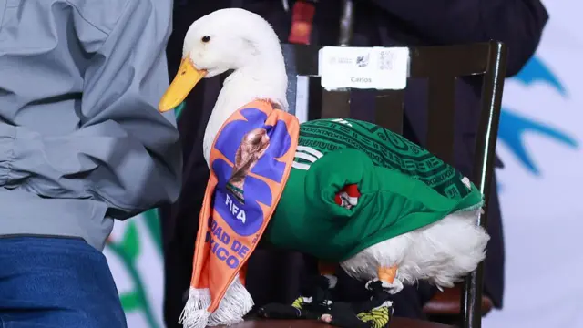 Merlin the duck, wearing a Mexico shirt and World Cup scarf