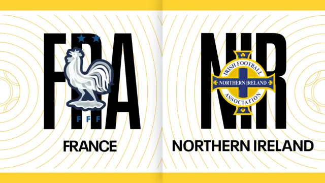 France v Northern Ireland