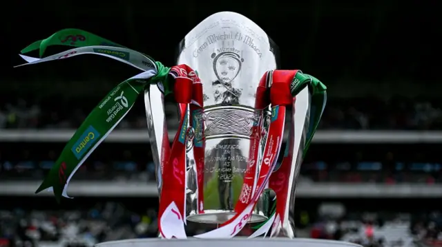 The Mick Mackey Cup