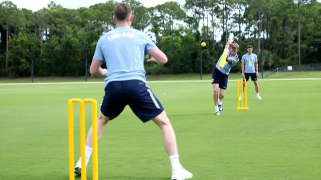cricket