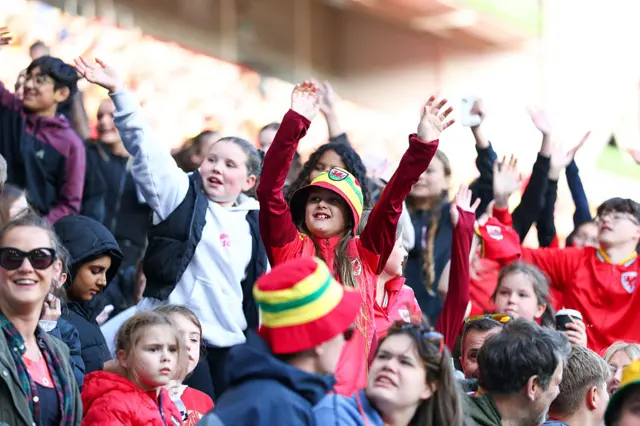 Wales fans
