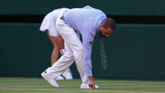 Umpire picks something off the grass