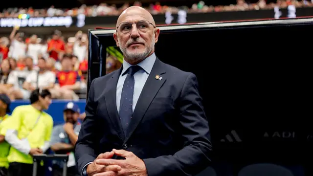 Luis de la Fuente on the touchline for Spain