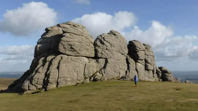 A rock in a field