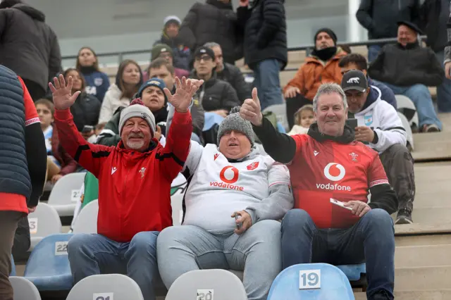 Wales fans