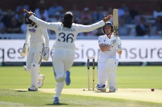 Nat Sciver-Brunt wicket