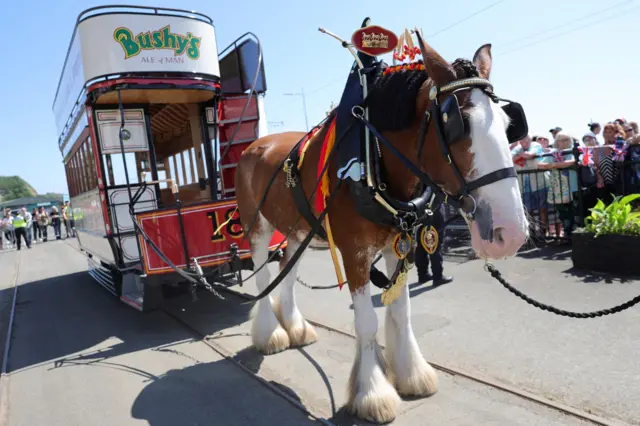 Horse tram in Douglas