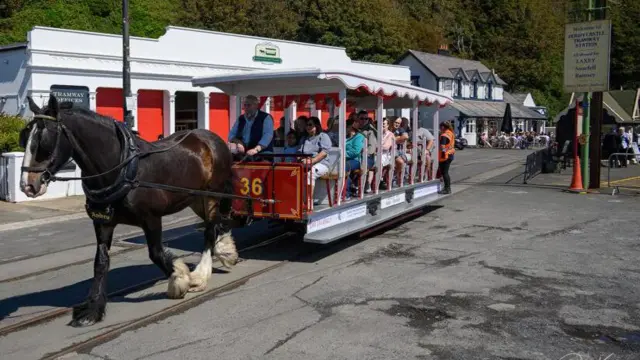 A horse pulling a tram full of people