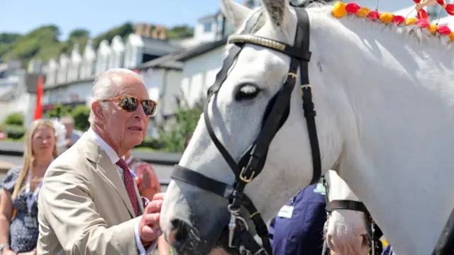 The King pets a horse