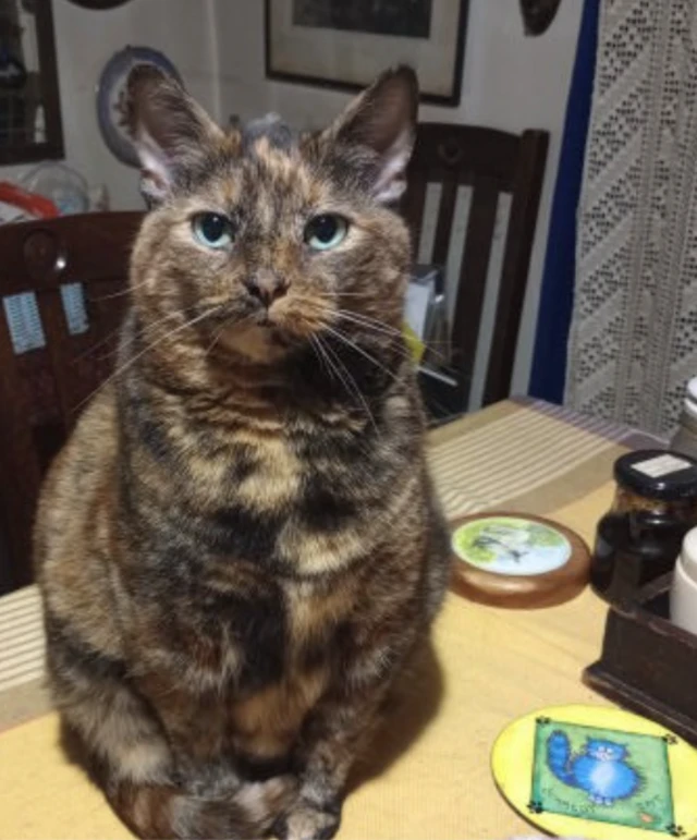 Madam Boo