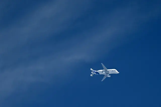 Beluga
