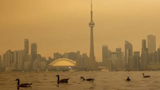 Canada geese swim in Lake Ontario, as wildfire smoke from northwestern Ontario fills the sky