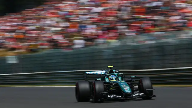 Fernando Alonso on track