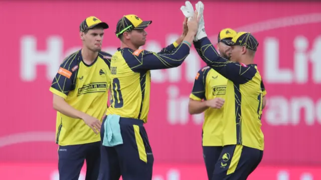 Hampshire celebrate wicket