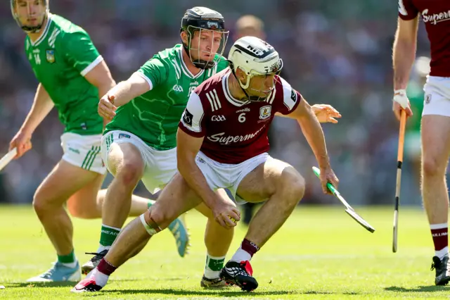 Hegarty