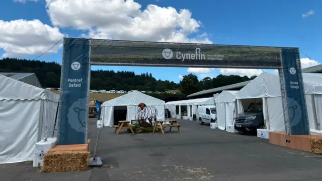 Cynefin