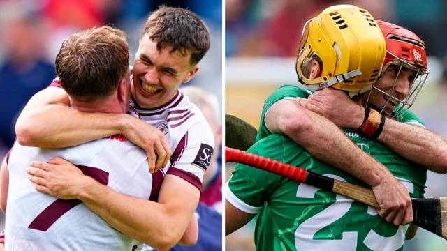 Galway and Limerick players