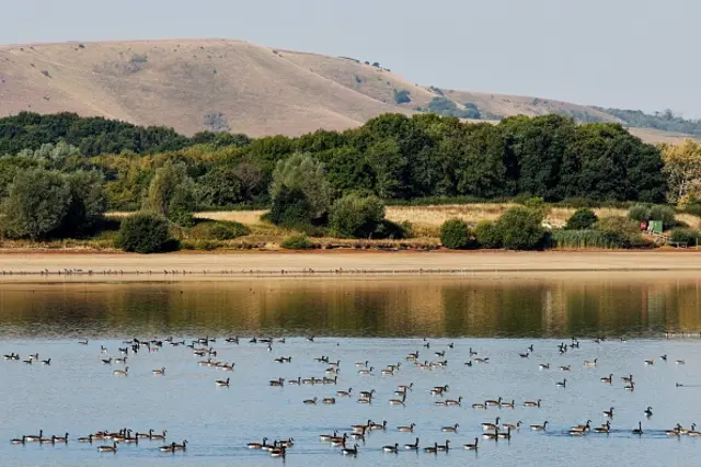 A reservoir