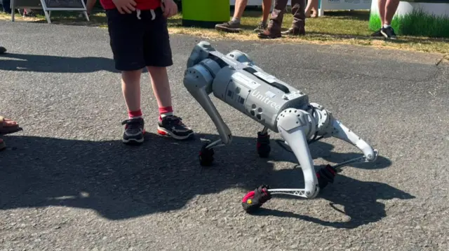 Robot ci