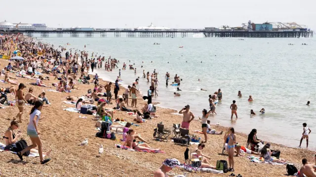 Dozens of people bask in the sun and swim in the water at Brighton beach. The pier is visible in the background.