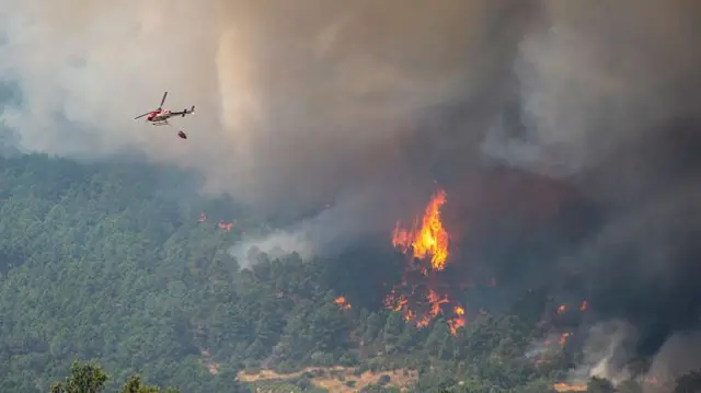 A helicopter carrying a large water bucket is shown flowing nearby a blazing forest fire on a hill, with smoke billowing across the area.