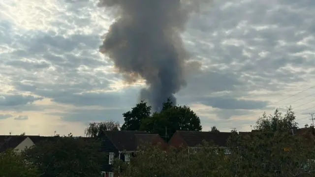 A large plume of smoke rising above houses and trees.