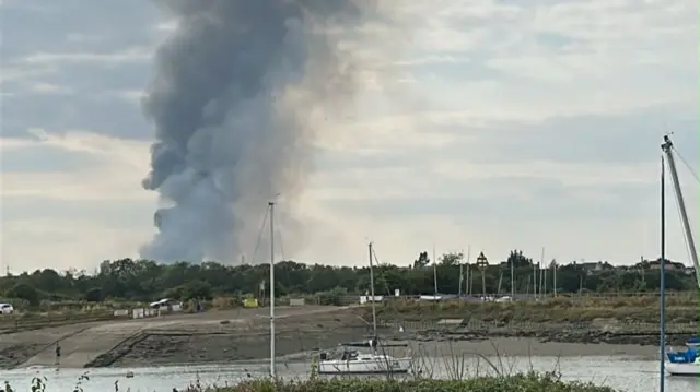 Large plumes of smoke rising above a row of trees, set by a riverbank.