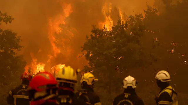 Firefighters in black uniform and yellow hard hats tackle a large fire among trees and bushes
