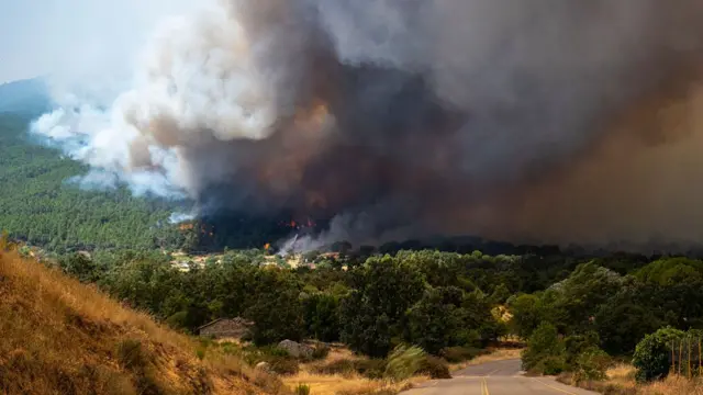 A thick column of smoke near El Castañar de El Tiemblo, on 24 July, 2026 in El Tiemblo, Avila, Castile and Leon, Spain.