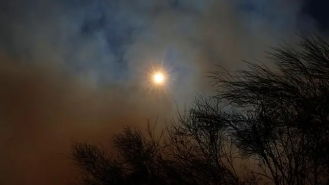 The sun shines dimly through a cloud of smoke that hangs over some trees.