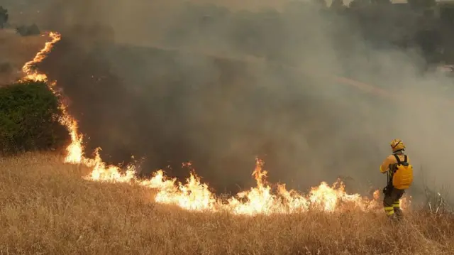 A firefighter standing next to a line of fire burning through a field in Spain with smoke flowing into the sky
