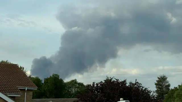 Large plumes of smoke rising above a line of trees.