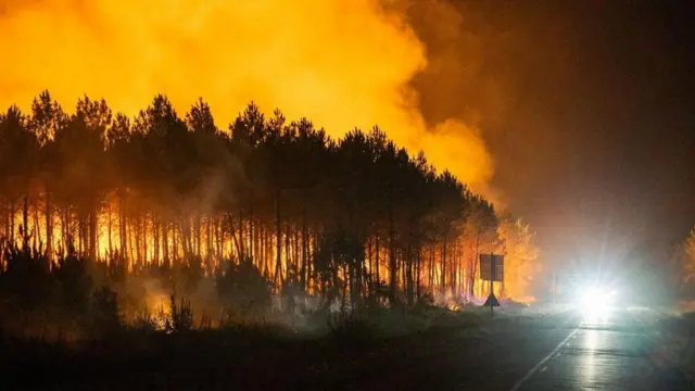 A handout photo made available by the French Landes Prefecture shows a forest burning in Biscarrosse, southern France, 25 July 2026.