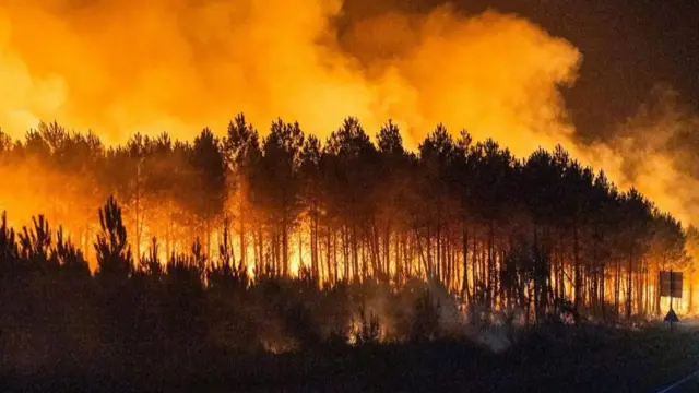A handout photo made available by the French Landes Prefecture shows a forest burning in Biscarrosse, southern France, 25 July 2026.