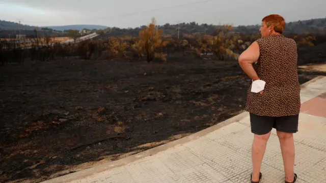A person stands near burnt land in the aftermath of wildfires in the village of Villa del Prado, Madrid on Saturday