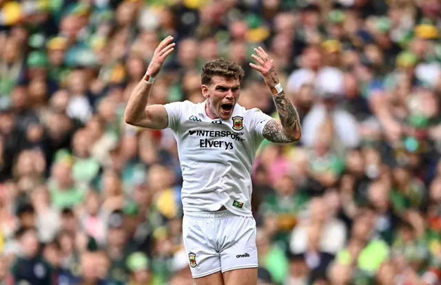 Mayo players celebrate