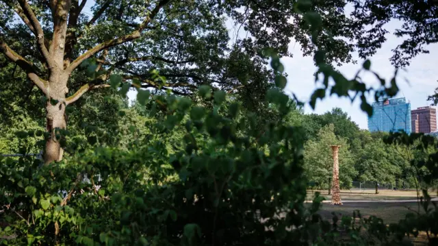 A leafy park in Berlin.