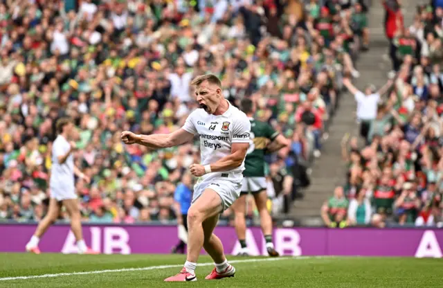 Mayo players celebrate a point