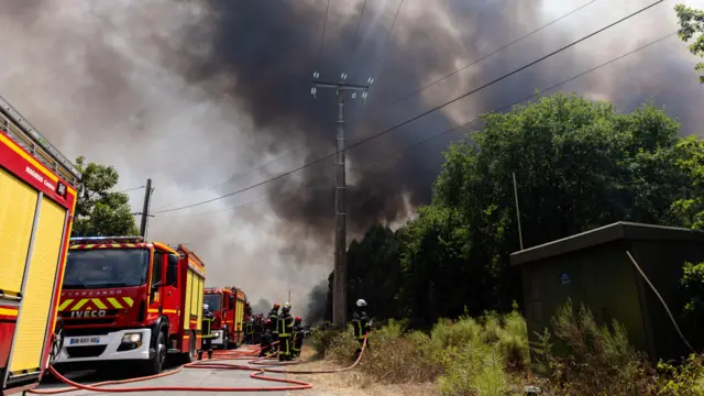Firetrucks battle smoke near a line of trees on a road