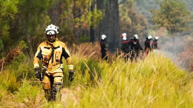 A firefighter in full protective gear works through scrub in front of burned trees, with five other firefighters in the background.