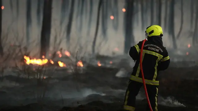 A firefighter in some trees with a hose and small clusters of flames on the floor
