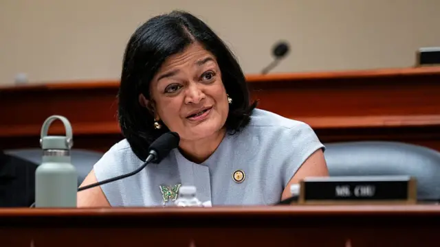 Congresswoman Pramila Jayapal wearing a grey blouse